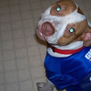 Meet your Posher, Michele